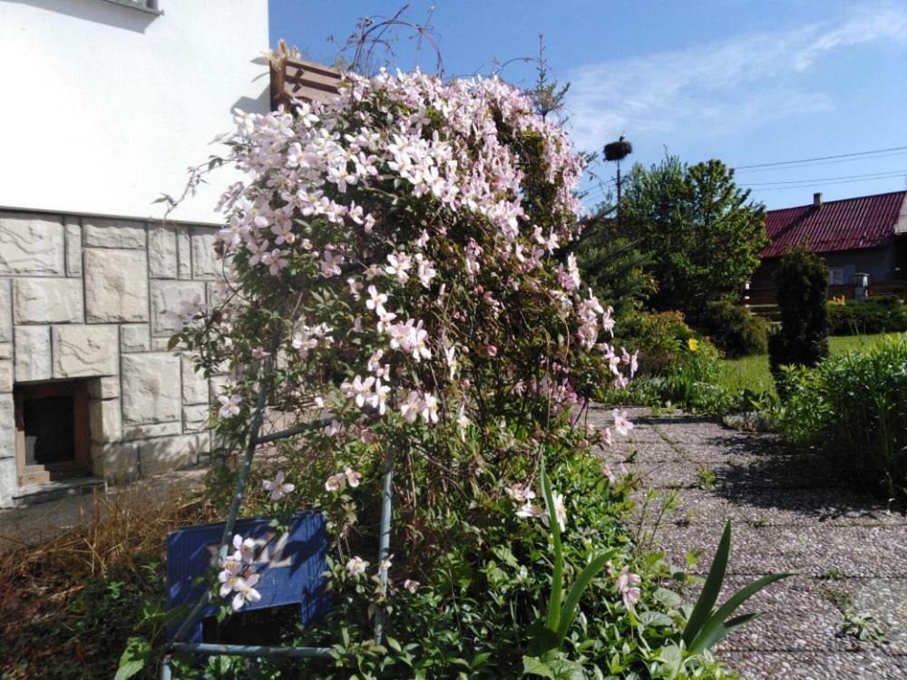 Privat U Capu V Beskydech Apartment Przno Bagian luar foto